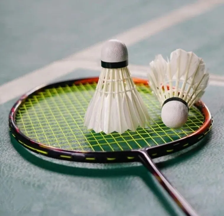 Cách Chơi Cá Cược Cầu Lông Tại FUN88 Đỉnh Cao Thắng Lớn